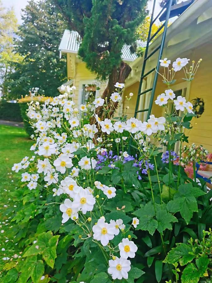 Country Villa Estate Ngongotaha Екстер'єр фото