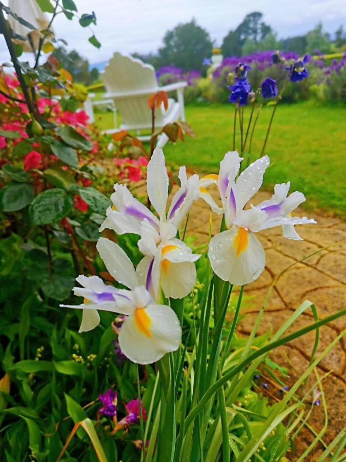 Country Villa Estate Ngongotaha Екстер'єр фото