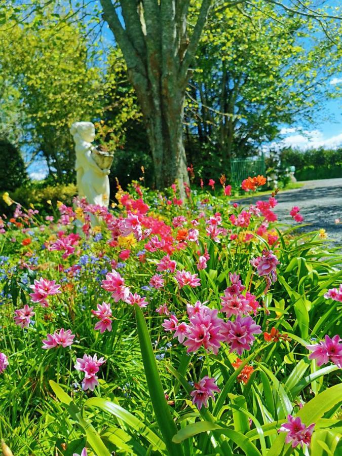 Country Villa Estate Ngongotaha Екстер'єр фото