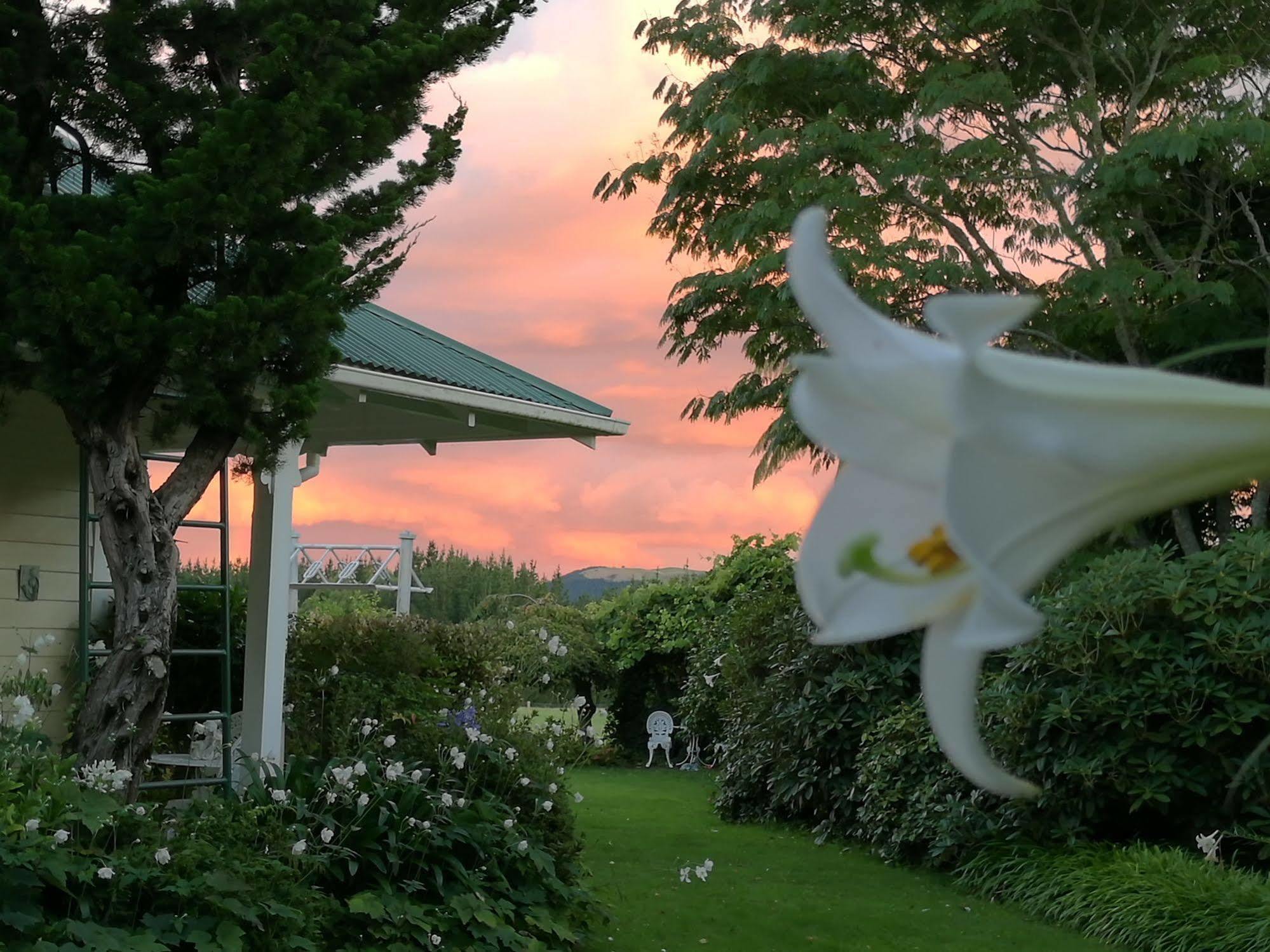 Country Villa Estate Ngongotaha Екстер'єр фото