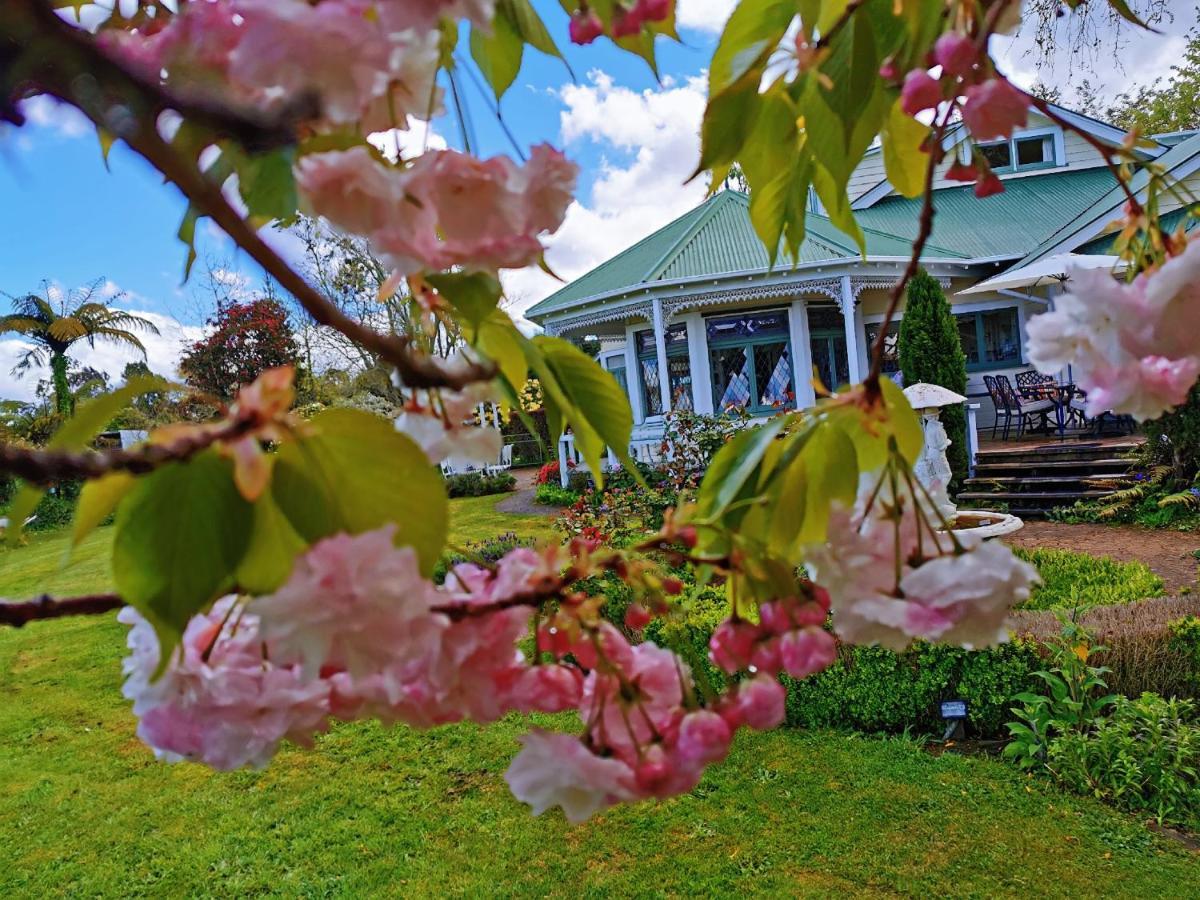 Country Villa Estate Ngongotaha Екстер'єр фото